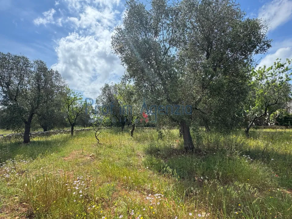 Helårsgrund i Carovigno, Brindisi - foto 1